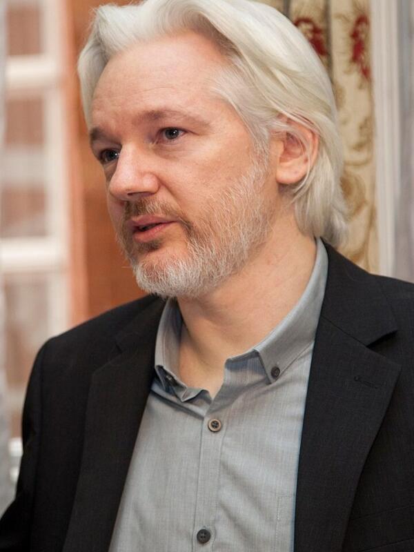 Het Leven en de Impact van Julian Assange: Een Biografie - Ontwikkelaars van Online Platforms