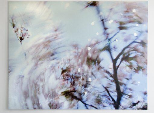 Marijke van Warmerdam: Een Diepgaande Blik op Haar Leven en Werk - Schilderen en Beeldhouwen