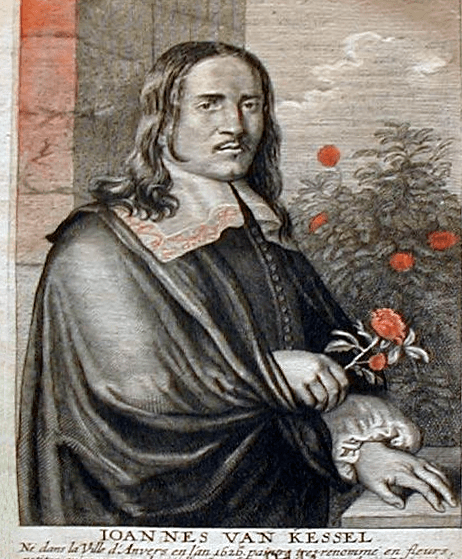 Jan van Kessel: Het Leven en Werk van een Meesterlijke Schilder - Schilderen en Beeldhouwen