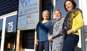 Josje de Vos: Het Leven en de Carrière van een Opkomende Ster - Stylisten