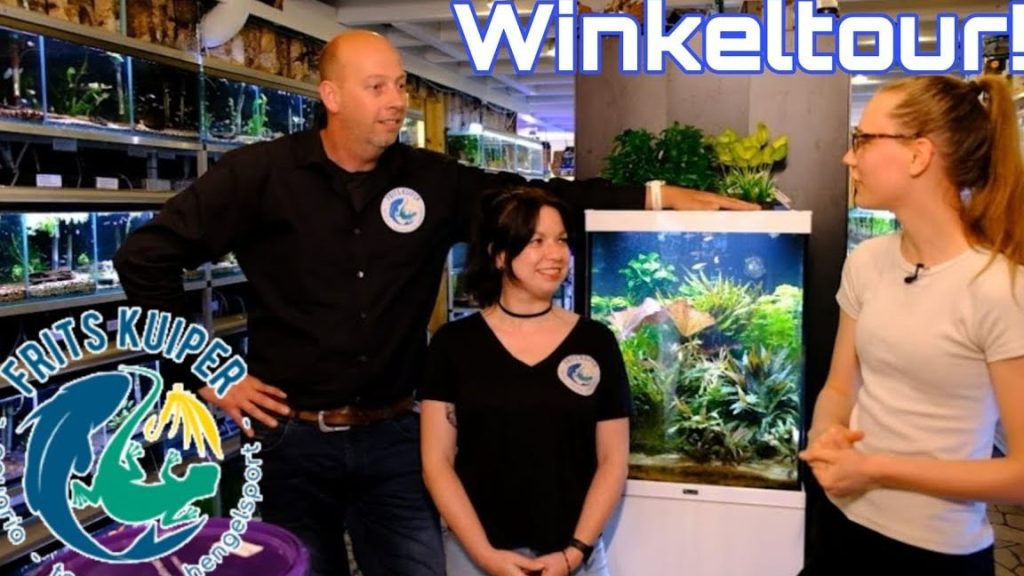 Frits Kuiper: Het Leven en Werk van een Nederlandse Legende - Specialisten in Informatie Technologie