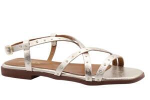 Biografie van Berenice G. de Haan: Leven en Werk - Taalwetenschappers